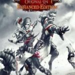 Divinity: Original Sin Enhanced Edition PC Download