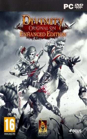 Divinity: Original Sin Enhanced Edition PC Download