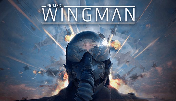 Project Wingman (Region Free) PC