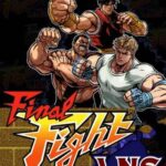 Final Fight Gold Plus LNS v2.0 PC Download