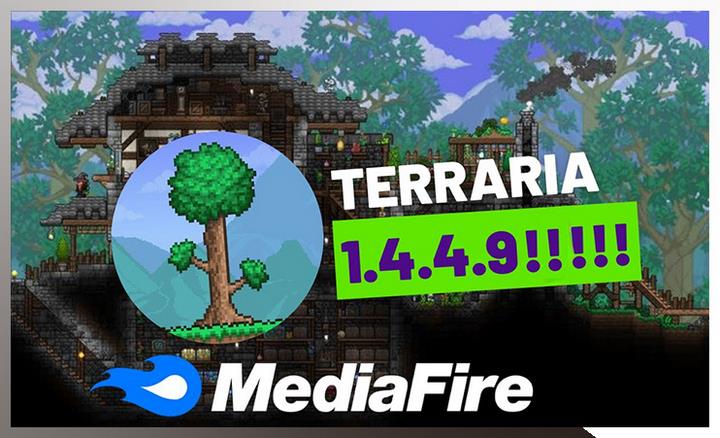 Terraria3