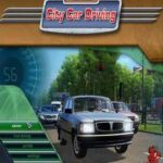 City Car Driving PC Download